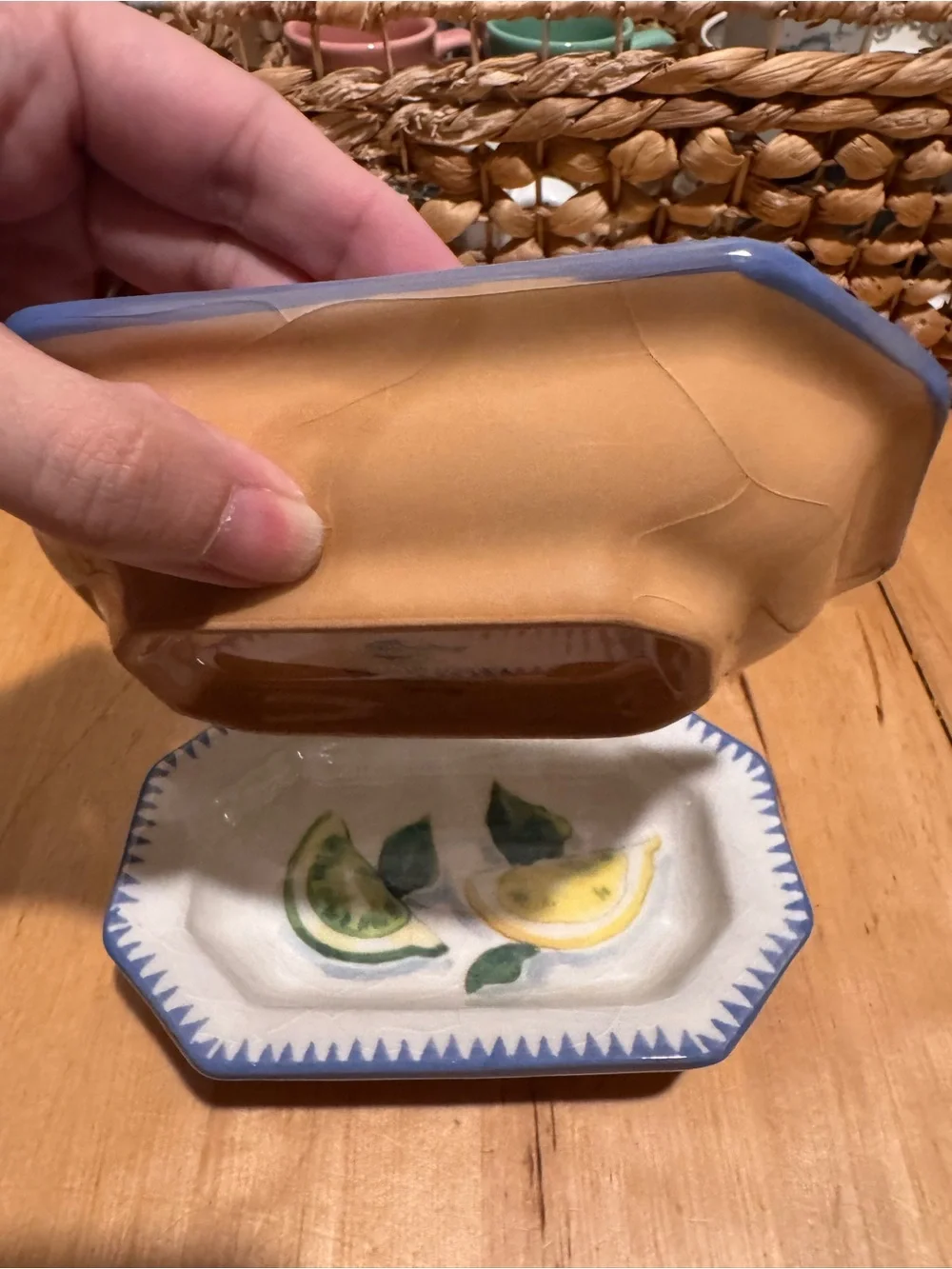 Williams Sonoma “Sardinia” Ceramic Dishes with Blue Trim (Set of 2)